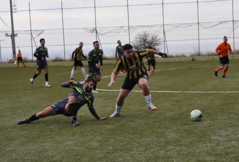 Foinikas-EAP_Ploumpis_Panagiotis